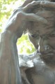 Francois * 305 x 460 * (29KB)