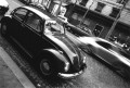 Patou * 640 x 435 * (84KB)